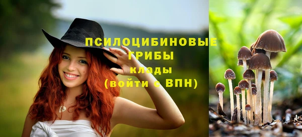 меф Богородицк