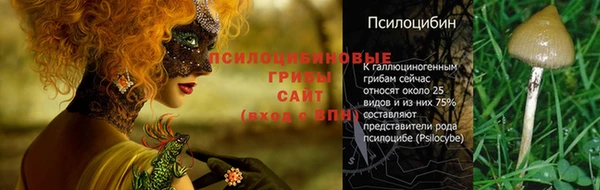 меф Богородицк