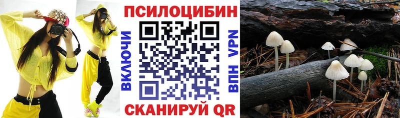 blacksprut онион  Кочубеевское  Псилоцибиновые грибы ЛСД 